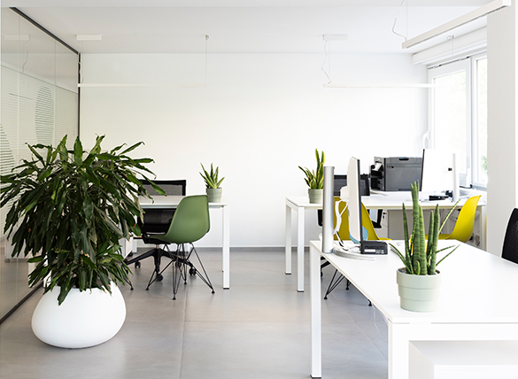 Uffici, Viale Della Croce Rossa — foto 1