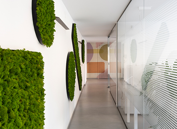 Uffici, Viale Della Croce Rossa — foto 3